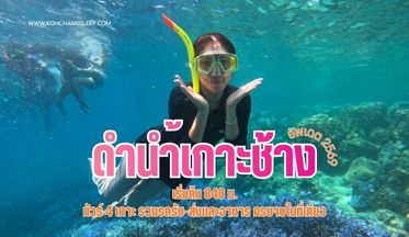 ดำน้ำเกาะช้าง-840-เต็มวัน